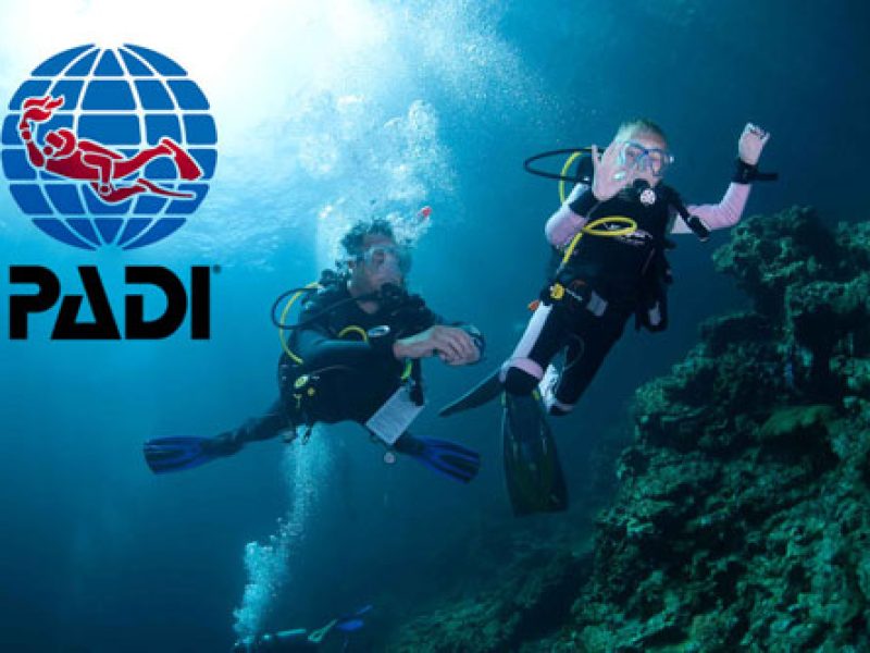 padi-pa-dykbild